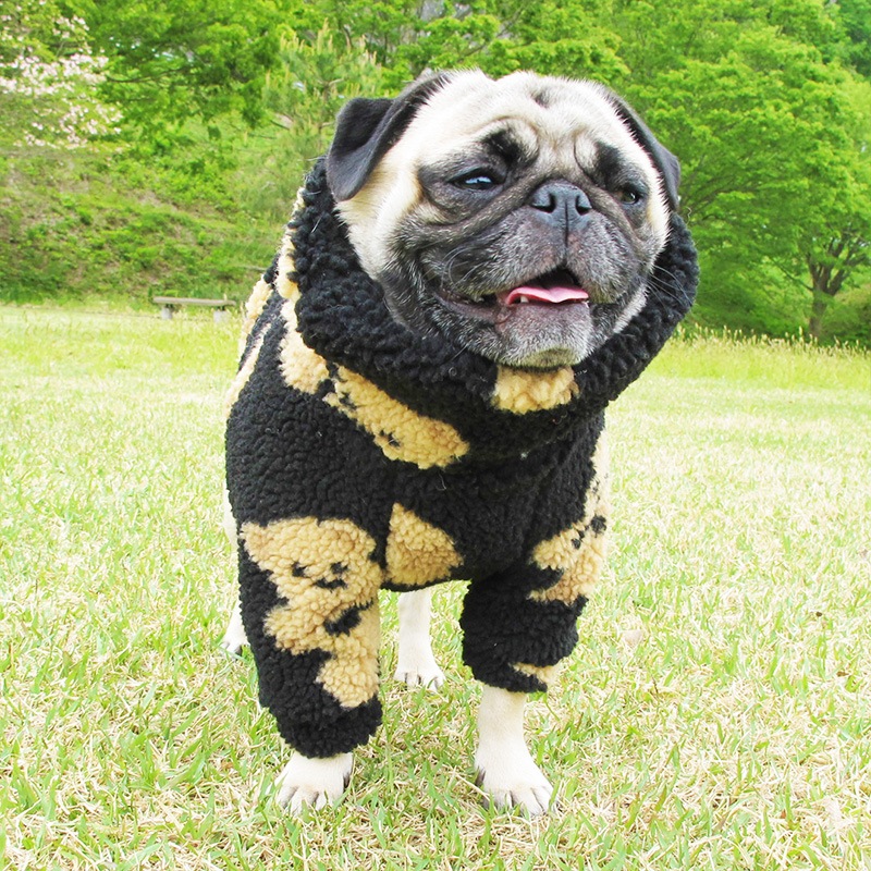 �⤳�⤳���ޤ���ȥ졼�ʡ��ڥ᡼�����Բġ�