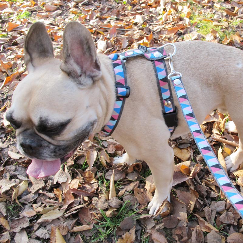 ���㥫���ɥ�ܥ�/�������ϡ��ͥ���ñ�ʥ᡼���ز�/�꡼�ɤȤΥ᡼����Ʊ���ġ�