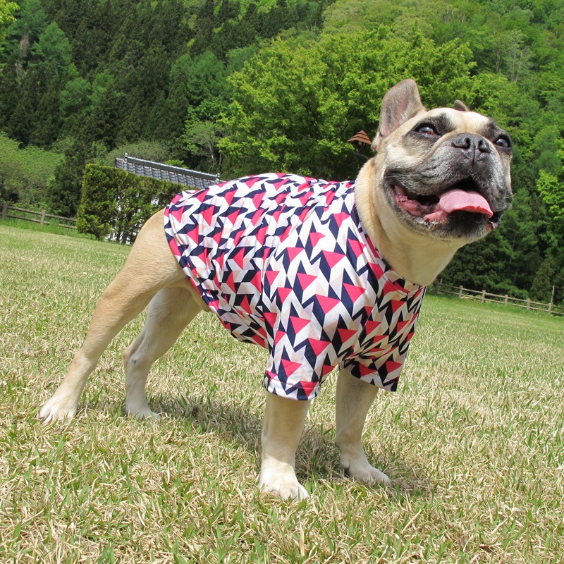 �Ĥ�S�������Τߡ�Cute���顼�δ����إץ���T����ġ�T�����2��or���󥯥ȥå�1���T�����1��ϥ᡼���زġ�