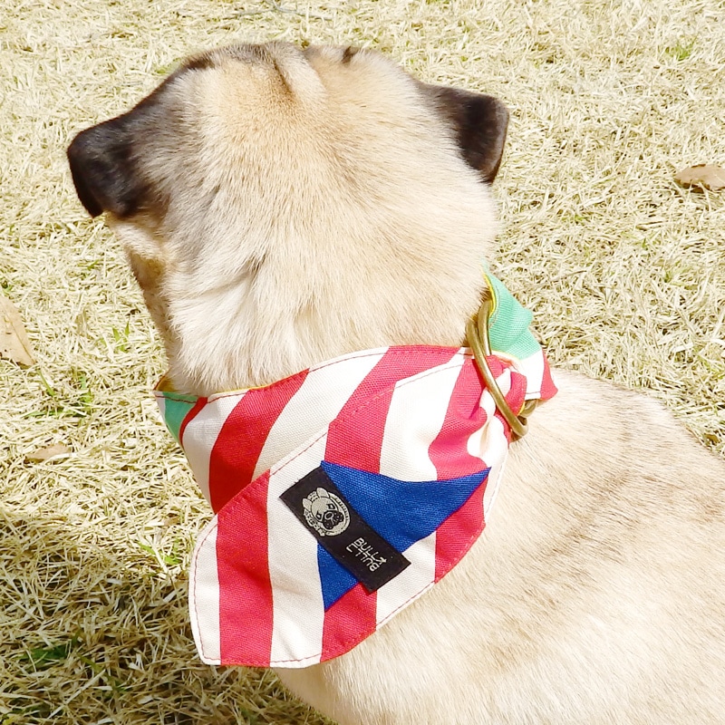 ������Х���ʡʼФ�ܡ������֡ˡ�2�Ĥޤǥ᡼���زġ�