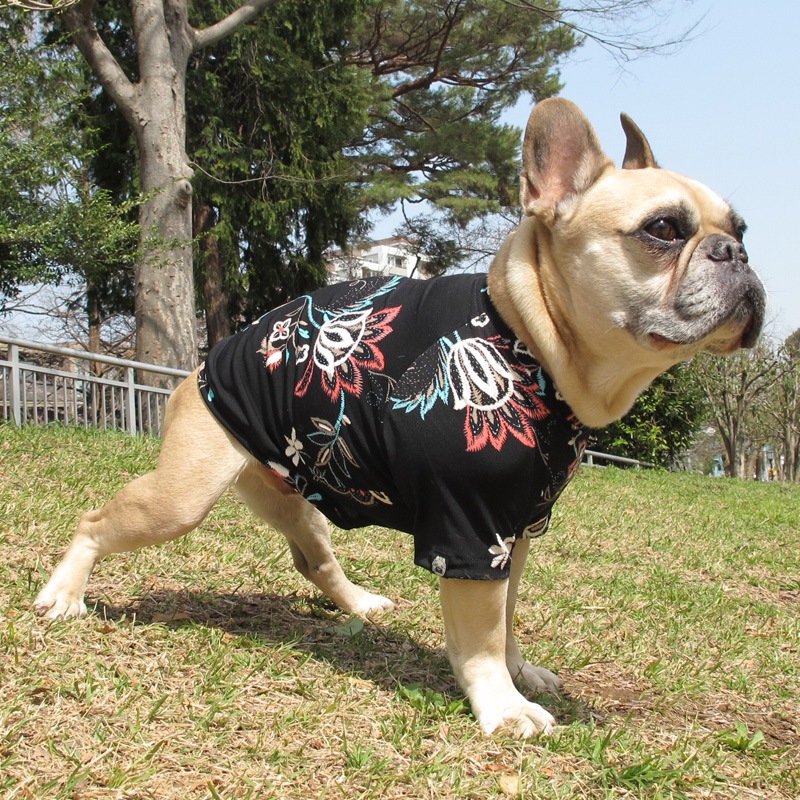 ܥ˥ץTġT2or󥯥ȥå1T1ϥ᡼زġ