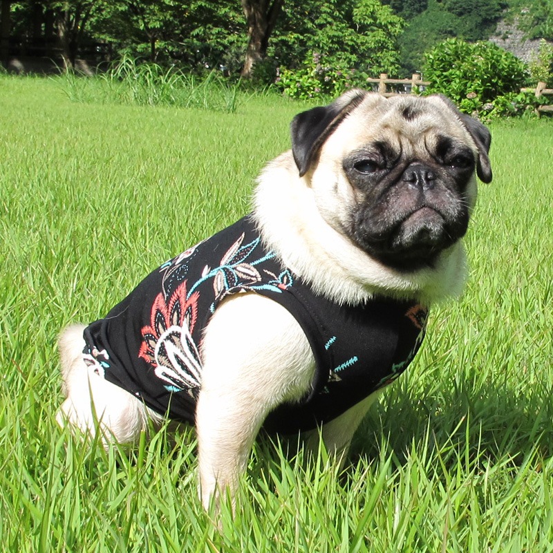 ܥ˥ץȥ󥯥ȥåסT2or󥯥ȥå1T1ϥ᡼زġ