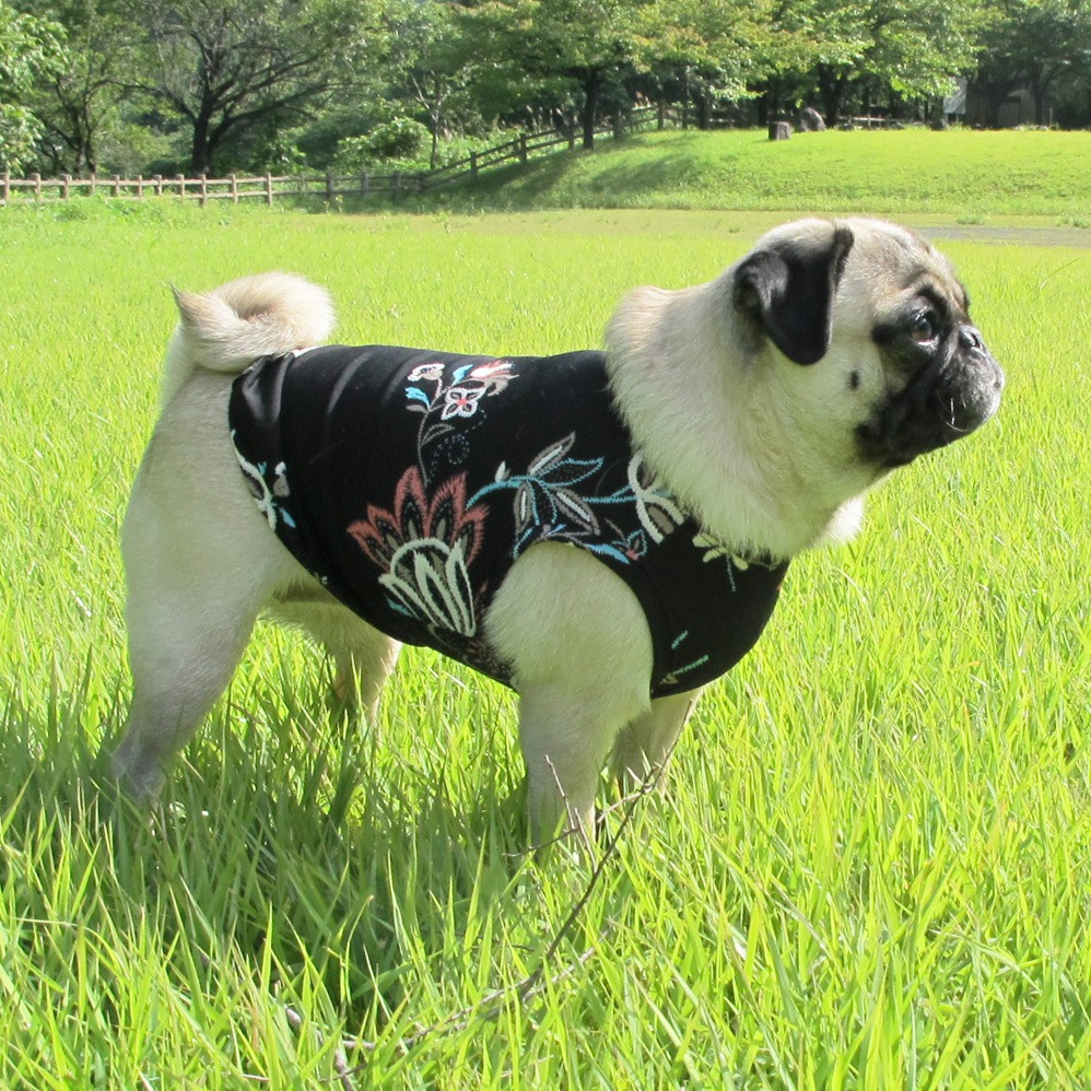 ܥ˥ץȥ󥯥ȥåסT2or󥯥ȥå1T1ϥ᡼زġ