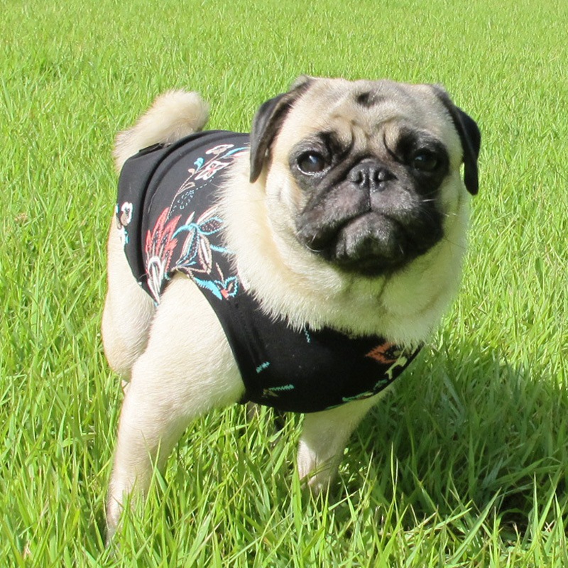 ܥ˥ץȥ󥯥ȥåסT2or󥯥ȥå1T1ϥ᡼زġ