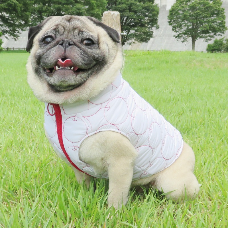 9/23 21䳫ϡ󤴥٥ȡڰΤߥ᡼زġ