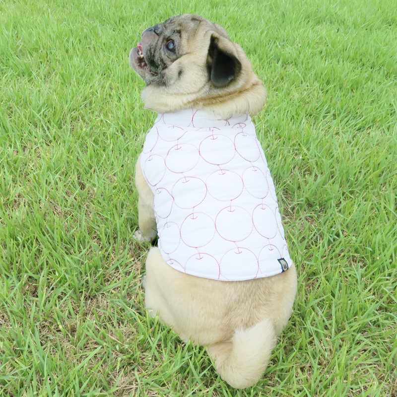 9/23 21䳫ϡ󤴥٥ȡڰΤߥ᡼زġ