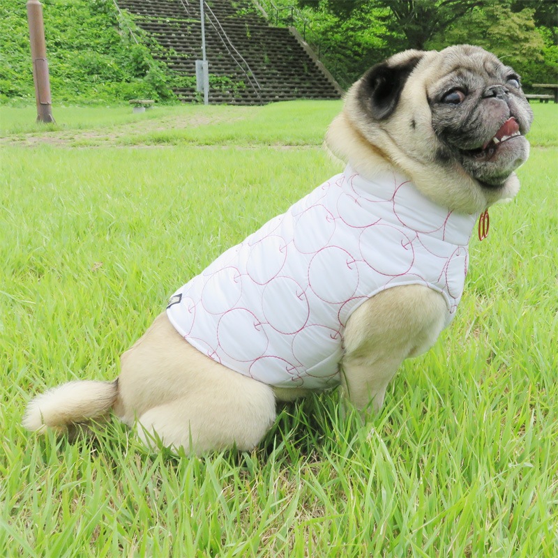 9/23 21䳫ϡ󤴥٥ȡڰΤߥ᡼زġ