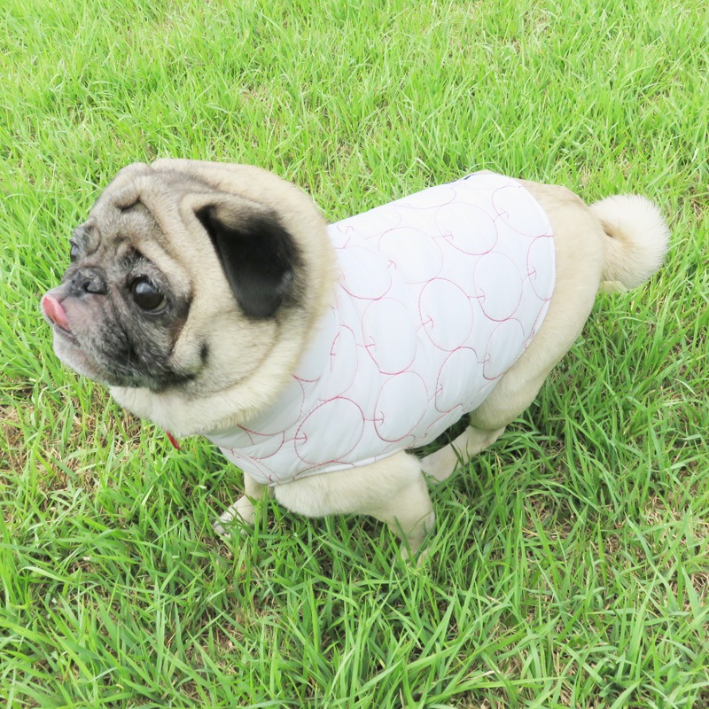 9/23 21䳫ϡ󤴥٥ȡڰΤߥ᡼زġ