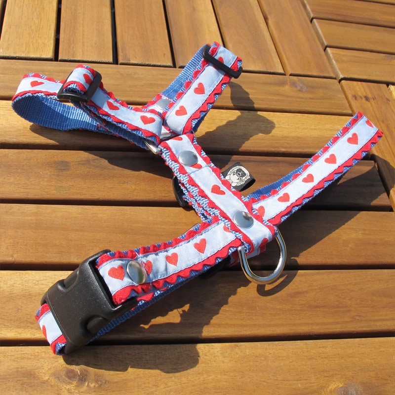 㥫ɥܥ/ϡϡͥñʥ᡼ز/꡼ɤȤΥ᡼Ʊġ