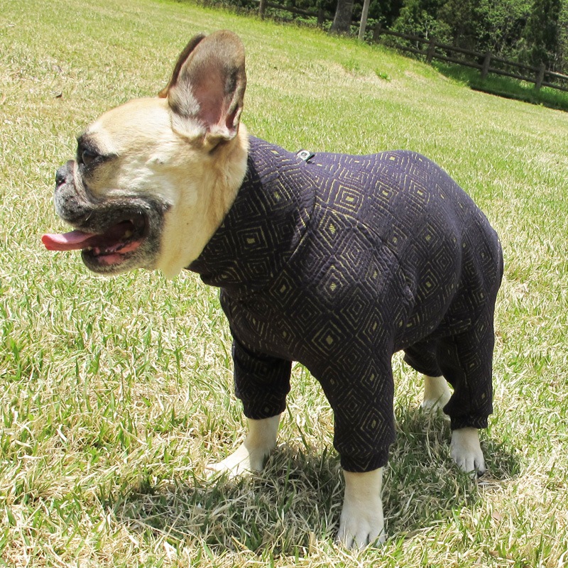 �Ĥ�M�������Τߡ��פä��ꥹ�������Ĥʤ��ڰ���Τߥ᡼���زġ�