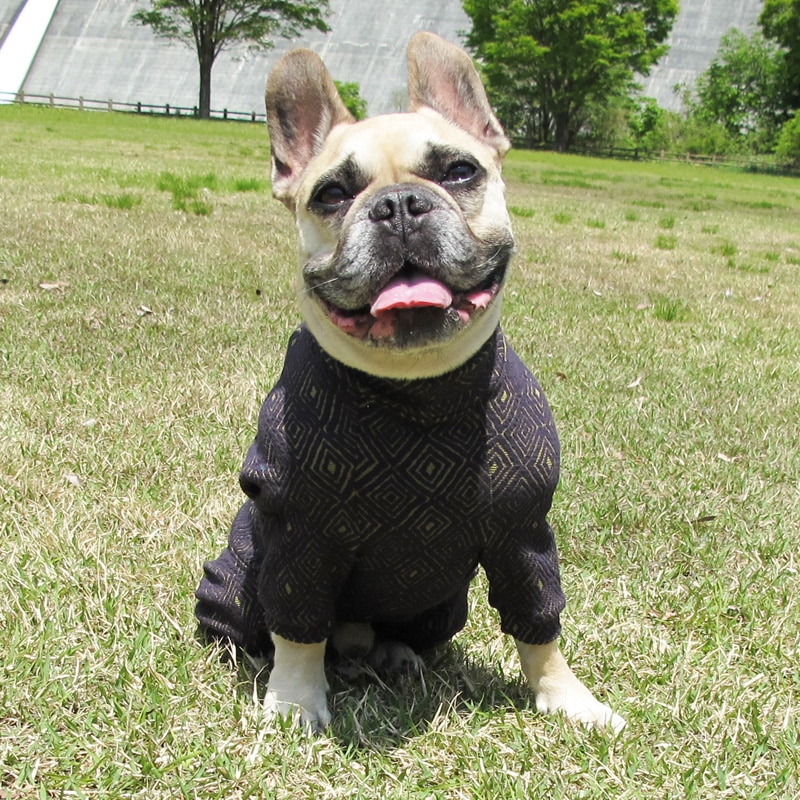 �Ĥ�M�������Τߡ��פä��ꥹ�������Ĥʤ��ڰ���Τߥ᡼���زġ�