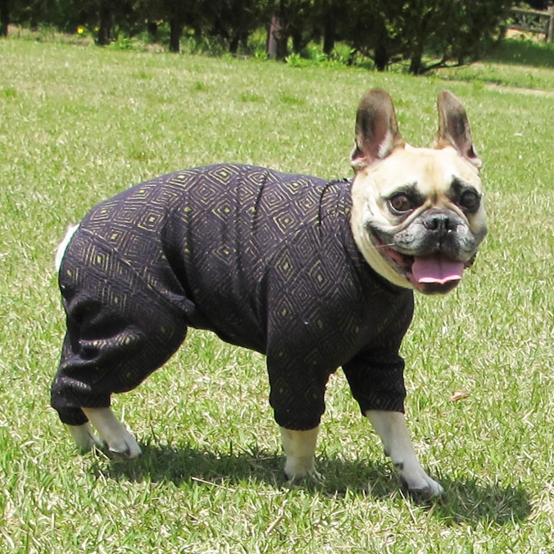 �Ĥ�M�������Τߡ��פä��ꥹ�������Ĥʤ��ڰ���Τߥ᡼���زġ�