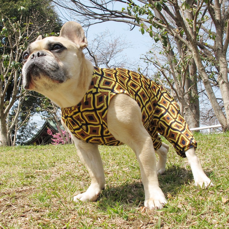 ȥʥƤĤʤڲƤĤʤ2orƤĤʤ1T()1ϥ᡼زġ