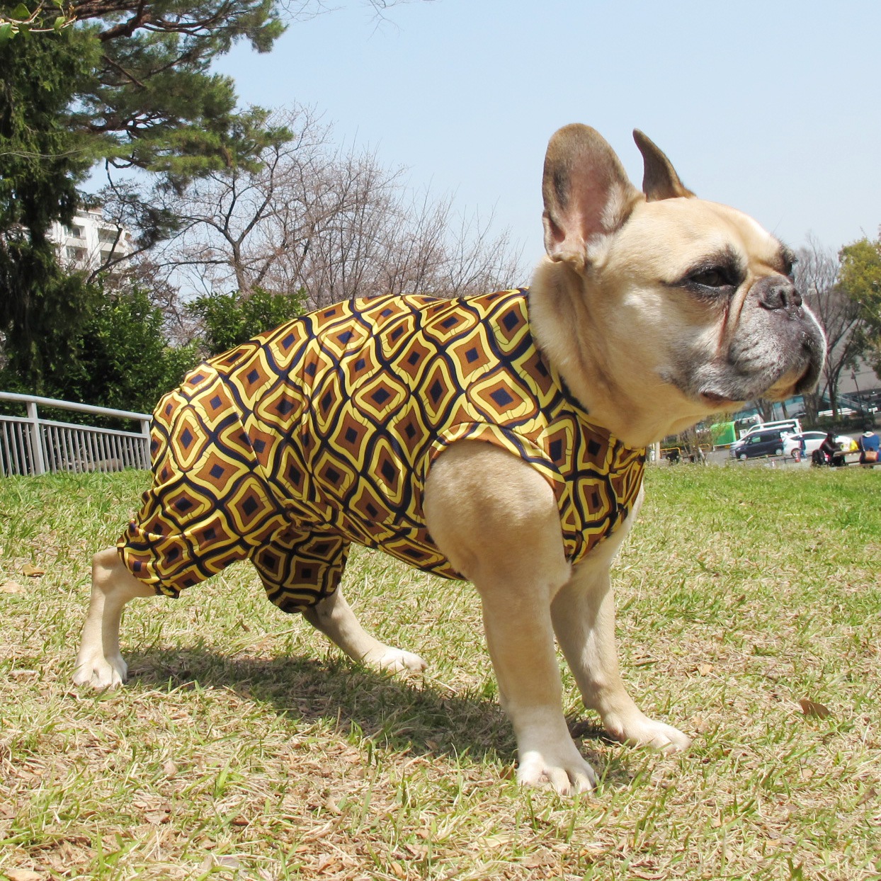 ȥʥƤĤʤڲƤĤʤ2orƤĤʤ1T()1ϥ᡼زġ