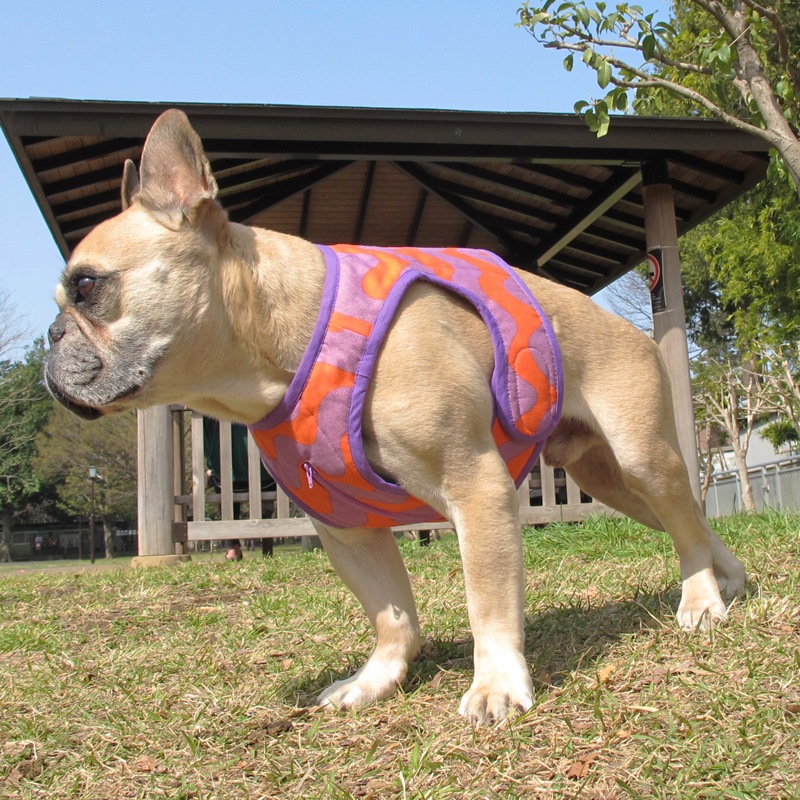 ������٥��ȡʤʤߤʤ�/����󥸡߻�ˡ�1��Τߥ᡼���زġ�