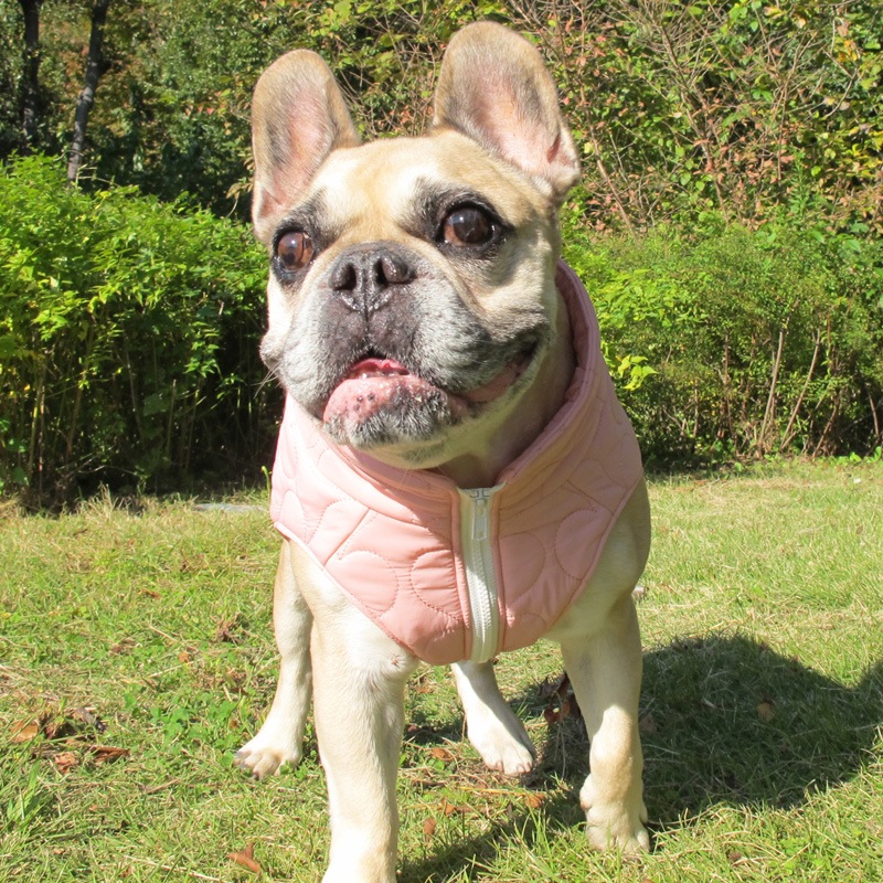 դäȥϡȥƥ󥰥٥ȡڰΤߥ᡼زġ