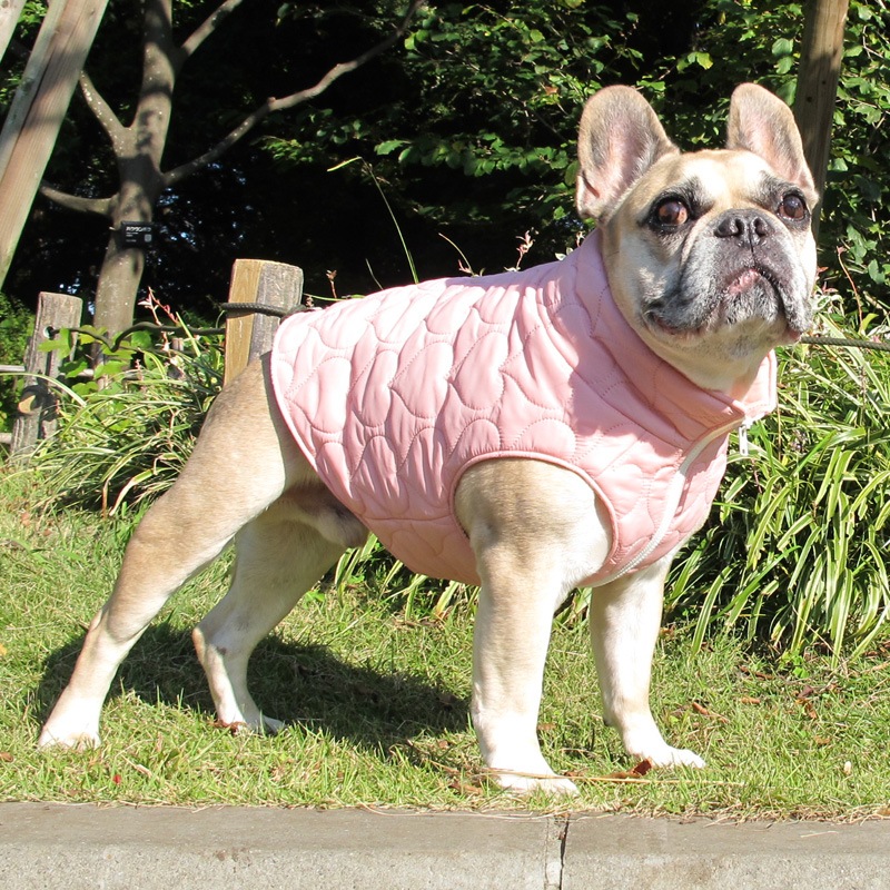 դäȥϡȥƥ󥰥٥ȡڰΤߥ᡼زġ