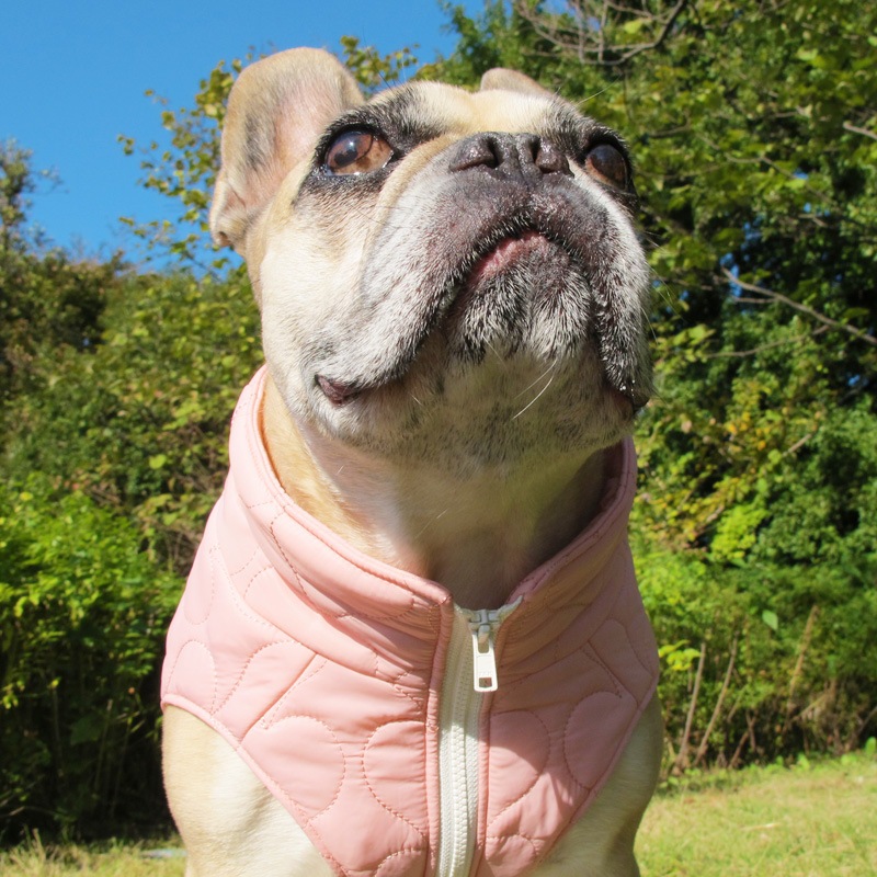 դäȥϡȥƥ󥰥٥ȡڰΤߥ᡼زġ