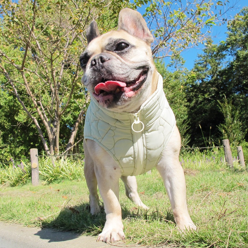 ޥƥ󥰥٥ȡڰΤߥ᡼زġ