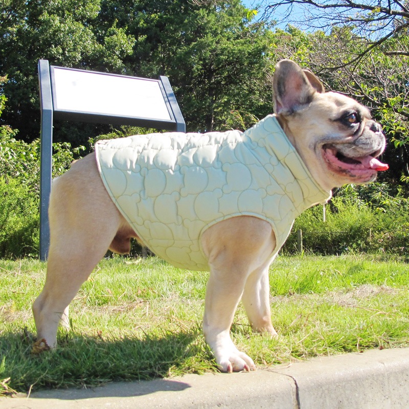 ޥƥ󥰥٥ȡڰΤߥ᡼زġ