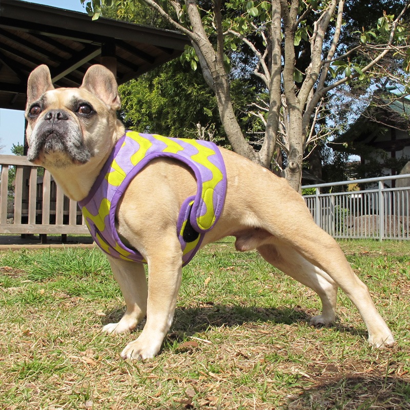 ������٥��ȡʤʤߤʤ�/���С߻�ˡ�1��Τߥ᡼���زġ�