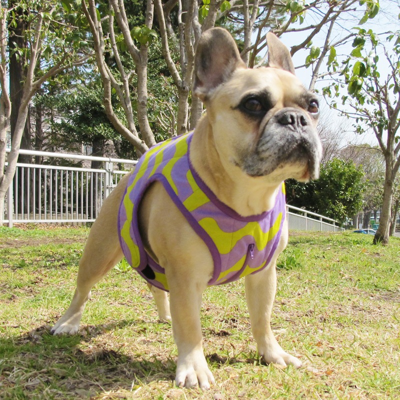 ������٥��ȡʤʤߤʤ�/���С߻�ˡ�1��Τߥ᡼���زġ�