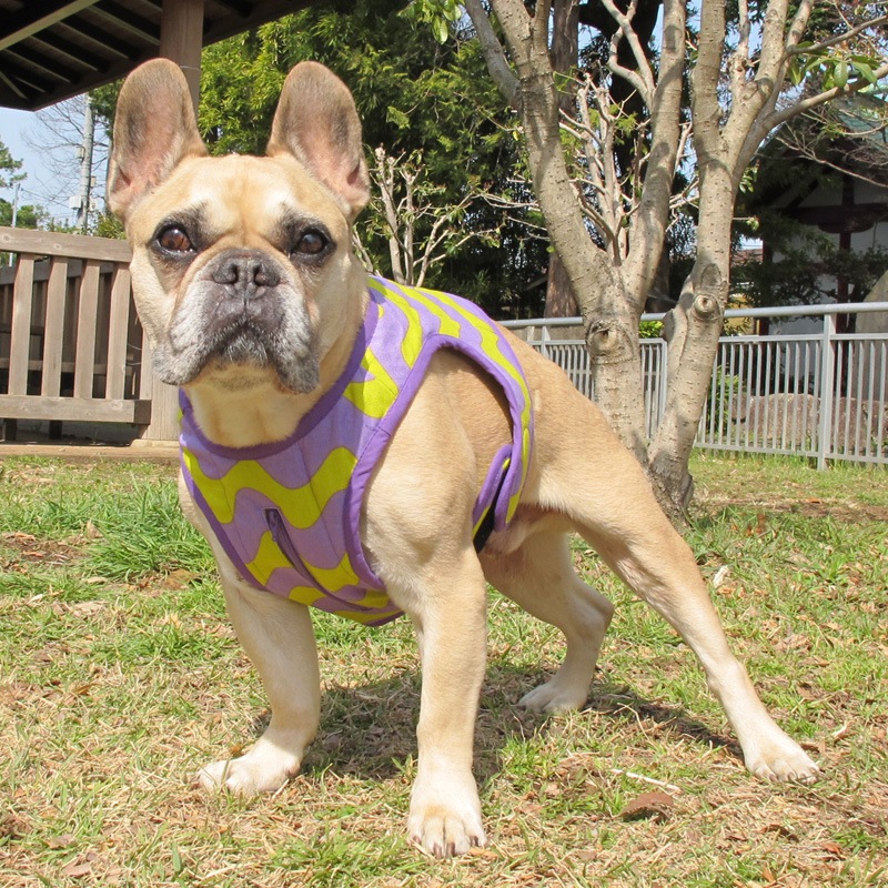 ������٥��ȡʤʤߤʤ�/���С߻�ˡ�1��Τߥ᡼���زġ�