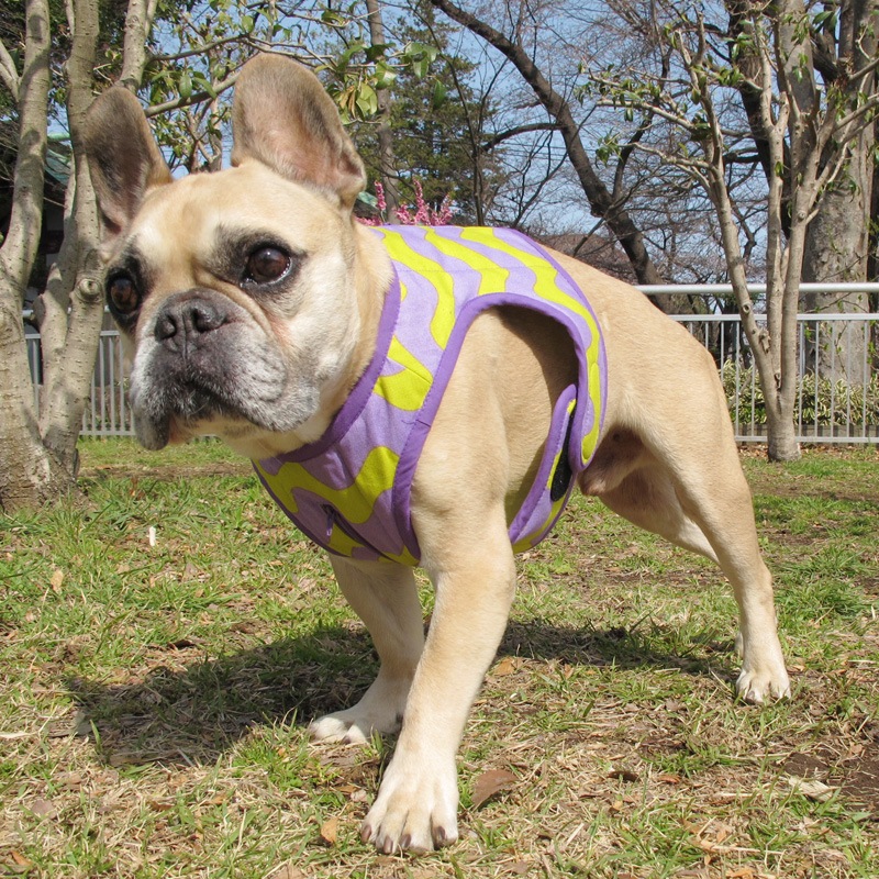 ������٥��ȡʤʤߤʤ�/���С߻�ˡ�1��Τߥ᡼���زġ�