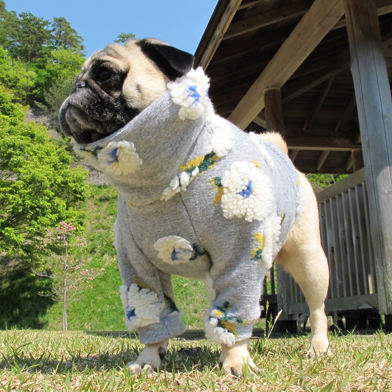 �դ�դ浪�֤ΰ��̥��������ڥ᡼�����Բġ�