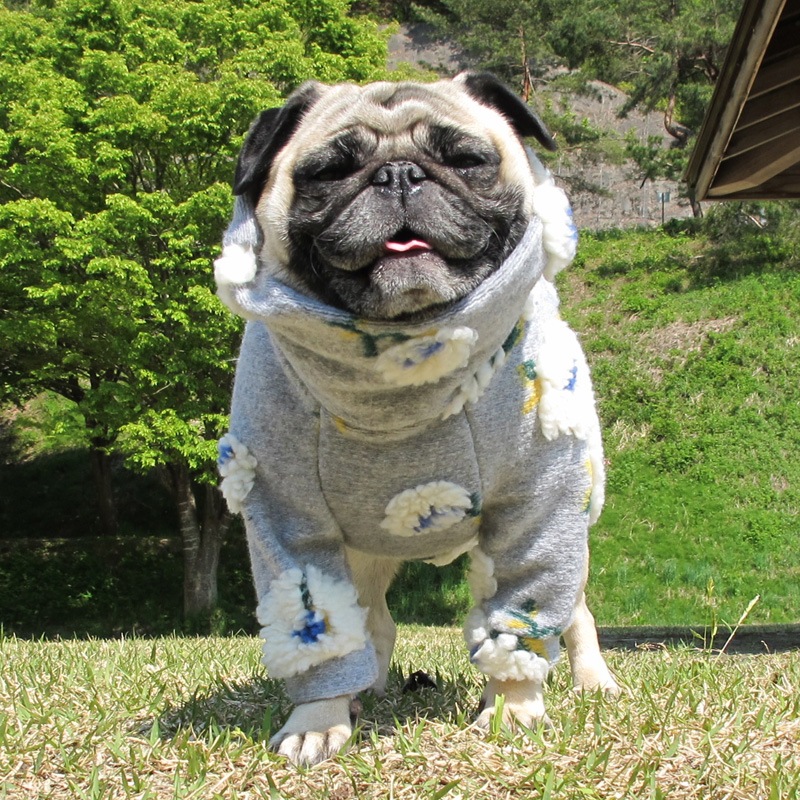 �դ�դ浪�֤ΰ��̥��������ڥ᡼�����Բġ�