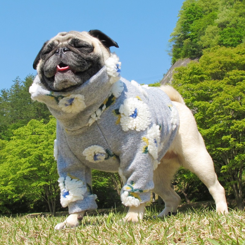 �դ�դ浪�֤ΰ��̥��������ڥ᡼�����Բġ�