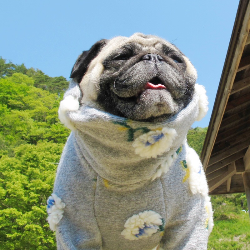 �դ�դ浪�֤ΰ��̥��������ڥ᡼�����Բġ�