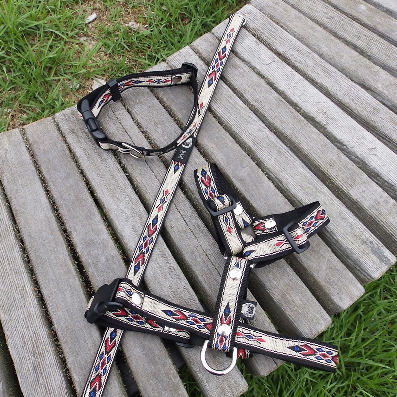 ���㥫����PP�ͥ��ƥ������ϡ��ͥ�B�ʺ��߹��ˡ�ñ�ʥ᡼���ز�/�꡼�ɤȤΥ᡼����Ʊ���ġ�