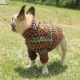 �ޤ�ǥߥá����˥��������ڰ���Τߥ᡼���زġ�