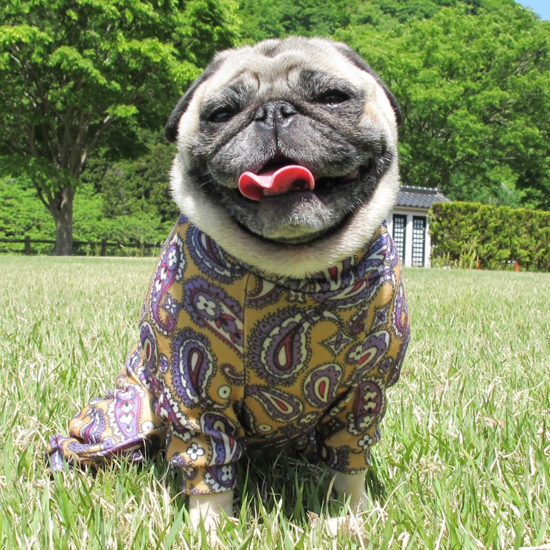 �ڥ����꡼�Ĥʤ��ڰ���Τߥ᡼���زġ�