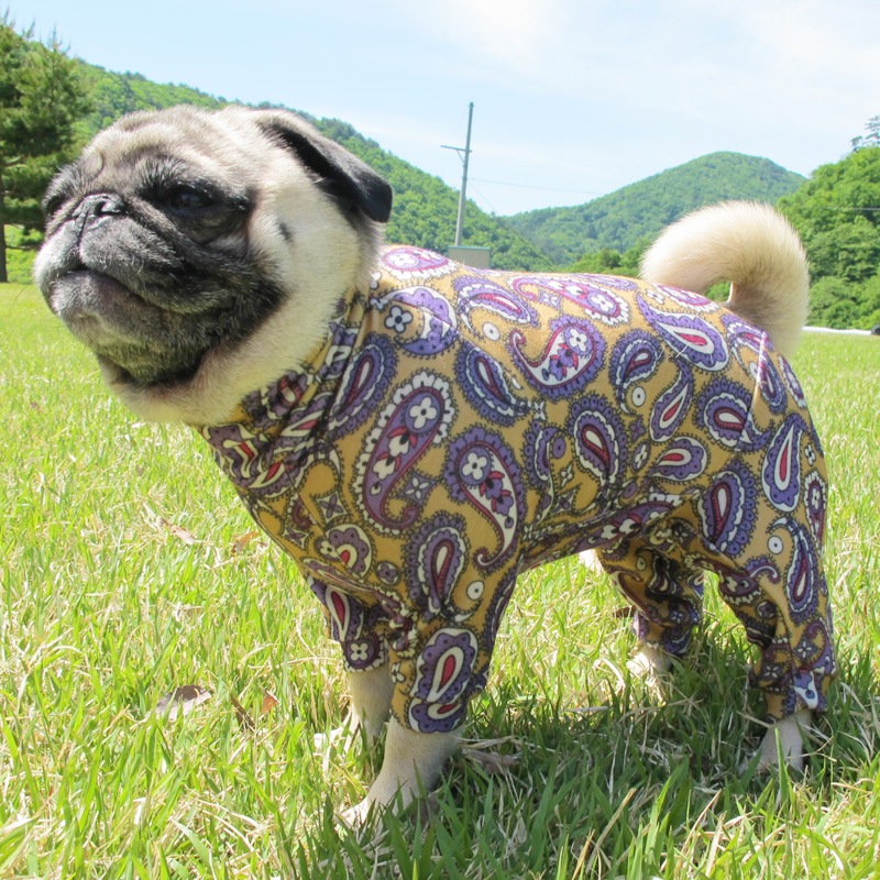 �ڥ����꡼�Ĥʤ��ڰ���Τߥ᡼���زġ�