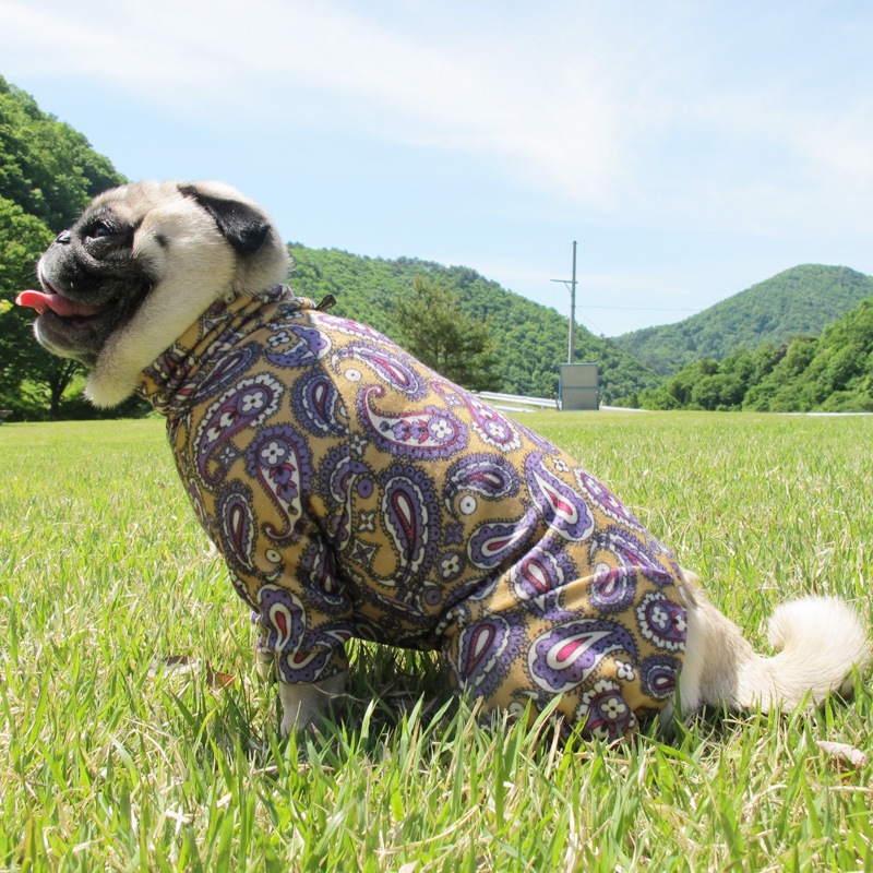 �ڥ����꡼�Ĥʤ��ڰ���Τߥ᡼���زġ�