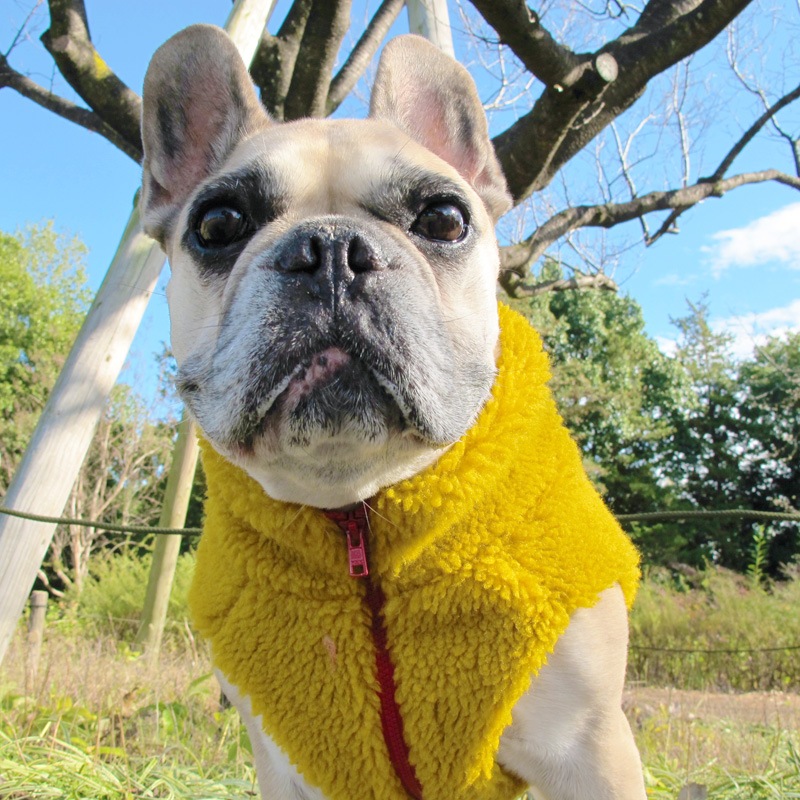 ޥɥ顼Τ⤳⤳٥ȡ1Τߥ᡼زġ