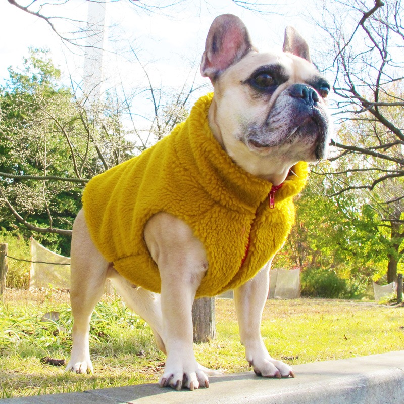 ޥɥ顼Τ⤳⤳٥ȡ1Τߥ᡼زġ