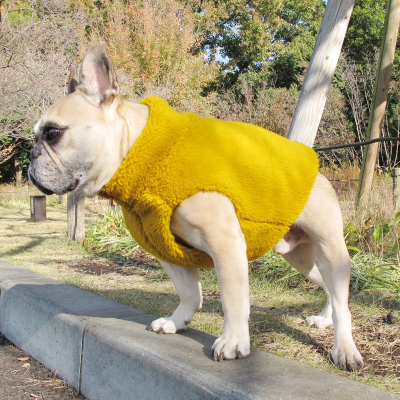 ޥɥ顼Τ⤳⤳٥ȡ1Τߥ᡼زġ