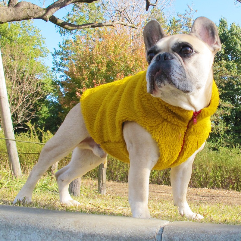 ޥɥ顼Τ⤳⤳٥ȡ1Τߥ᡼زġ