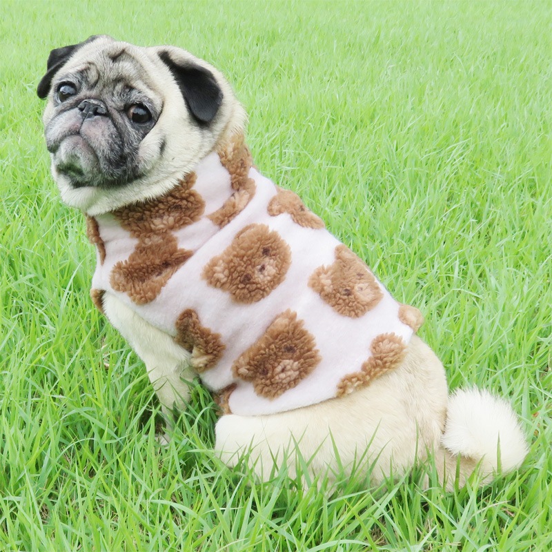 10/10 21䳫ϡޤ٥ȡڰΤߥ᡼زġ