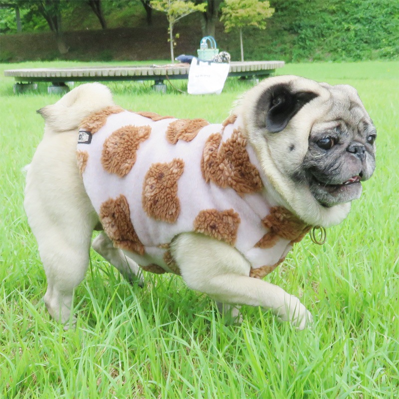 10/10 21䳫ϡޤ٥ȡڰΤߥ᡼زġ