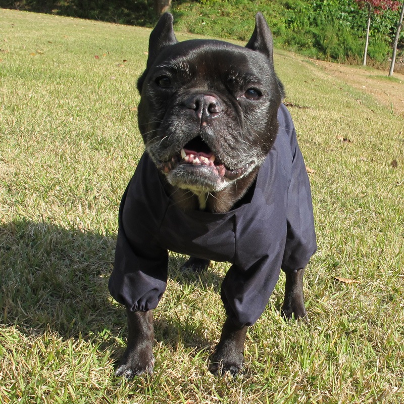 �Ĥ�S�������Τߡ���ͥ���ե�쥤�󥳡��ȡ����̡��ɥա��ɡ�ñ�ʥ᡼���ز�/���̡��ɥա��ɤȤ�Ʊ���᡼���زġ�