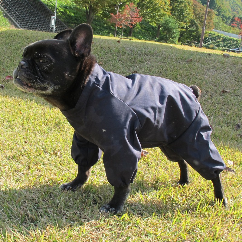 �Ĥ�S�������Τߡ���ͥ���ե�쥤�󥳡��ȡ����̡��ɥա��ɡ�ñ�ʥ᡼���ز�/���̡��ɥա��ɤȤ�Ʊ���᡼���زġ�