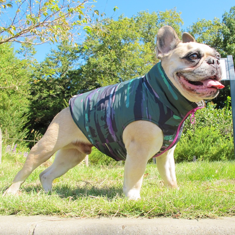 ĤSΤߡޯߥ꥿꡼ʥ٥ȡڰΤߥ᡼زġ