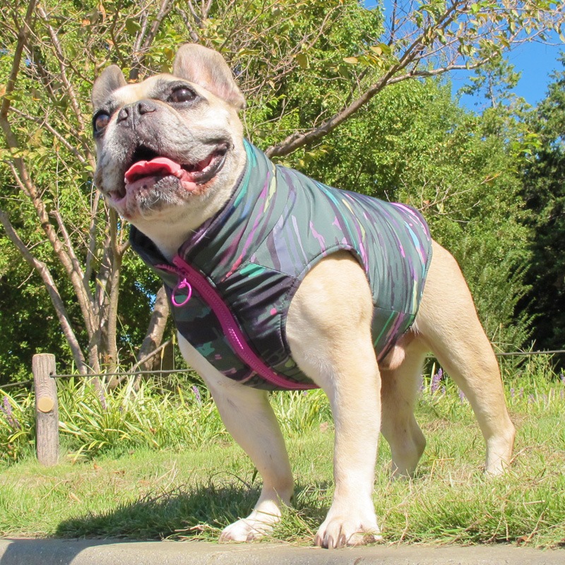 ĤSΤߡޯߥ꥿꡼ʥ٥ȡڰΤߥ᡼زġ