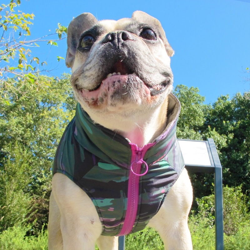 ĤSΤߡޯߥ꥿꡼ʥ٥ȡڰΤߥ᡼زġ