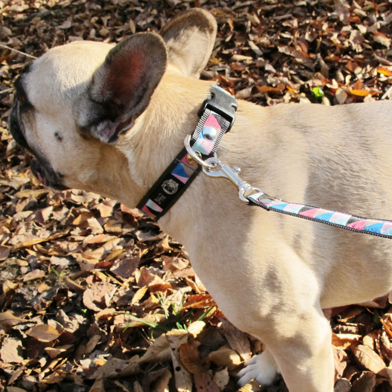 㥫ɥܥ/ءñʥ᡼ز/꡼ɤȤΥ᡼Ʊġ