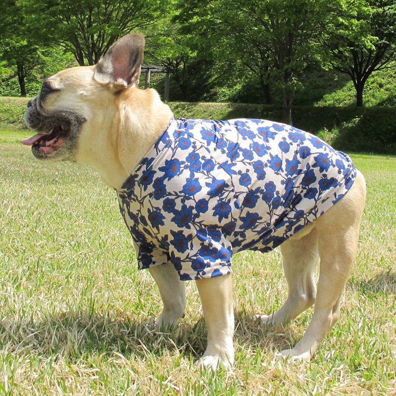 ����ƥ������ե��ץ���T����ġ�T�����2��or���󥯥ȥå�1���T�����1��ϥ᡼���زġ�